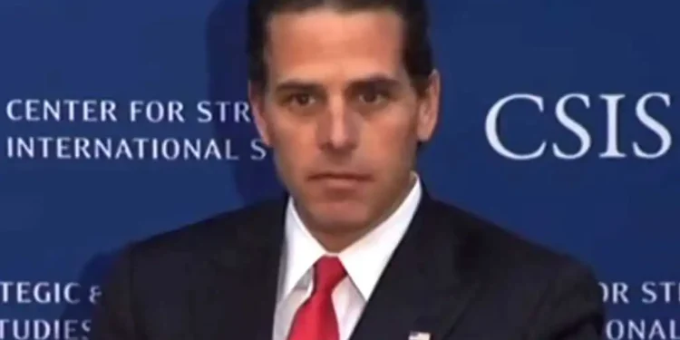Hunter Biden speaking during a panel discussion on U.S. government and private-sector cooperation in international development at the Center for Strategic and International Studies in 2013.